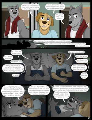 Page 13