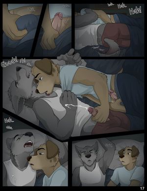 Page 17