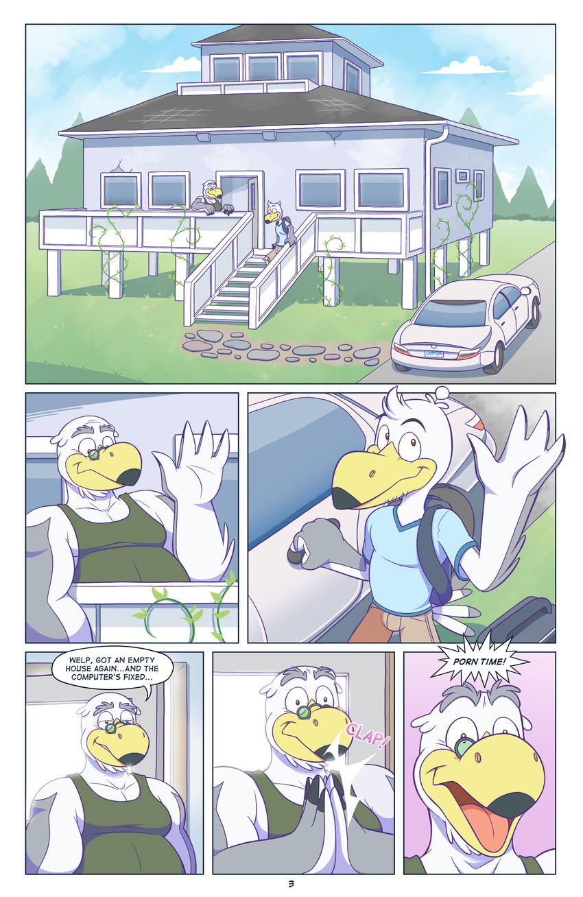 Page 3