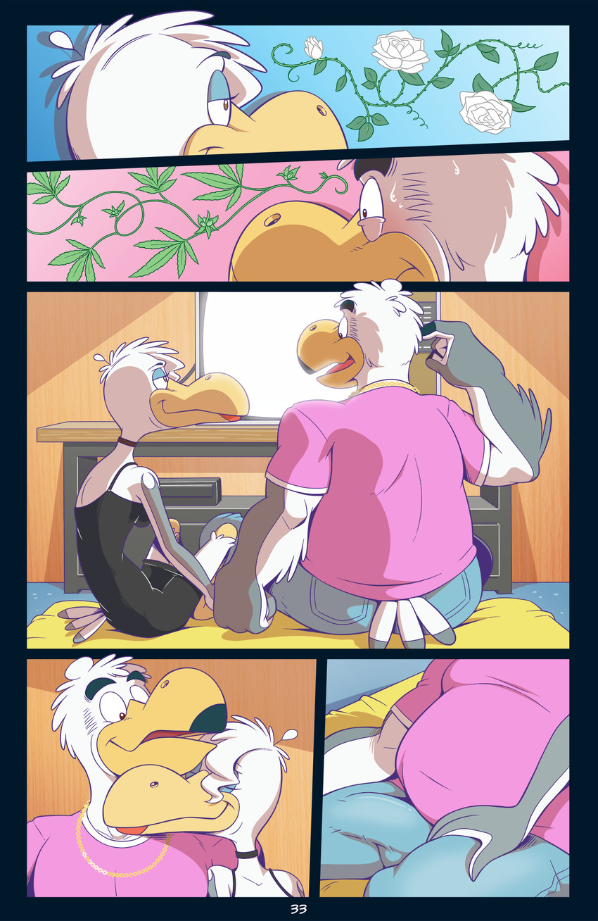 Page 33