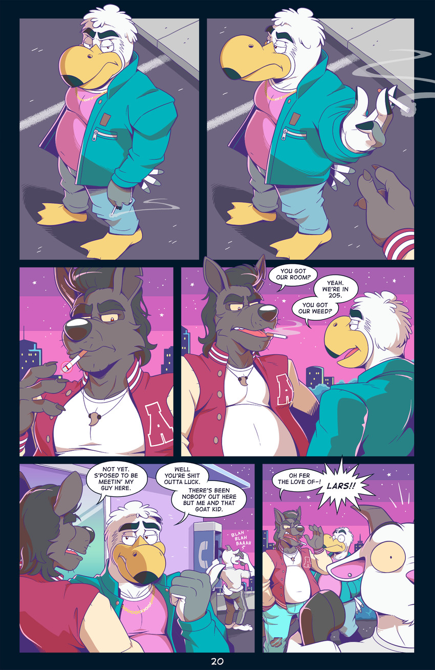 Page 20