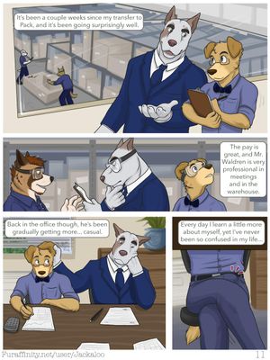 Page 11