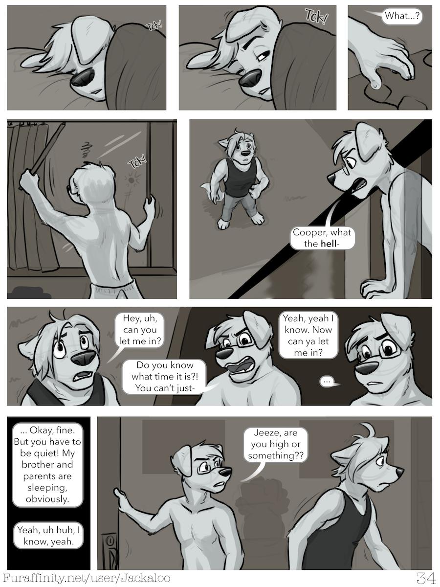 Page 33