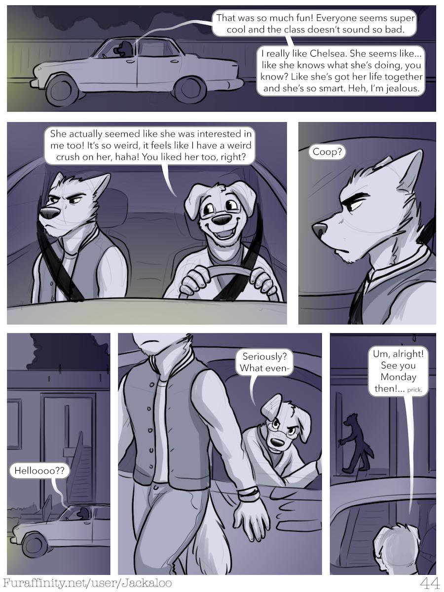 Page 43